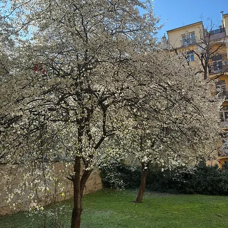 Apartmán Bright Flat Next To Best Park 10min Walk To Center